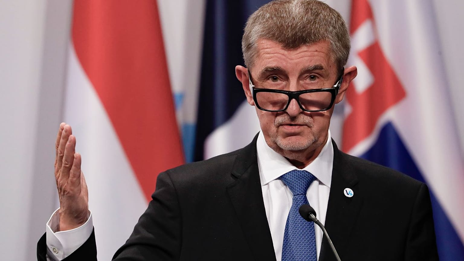 Andrej Babiš served as the Prime Minister of the Czech Republic from 2017 to 2021.