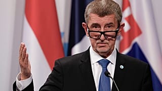 Andrej Babiš served as the Prime Minister of the Czech Republic from 2017 to 2021.