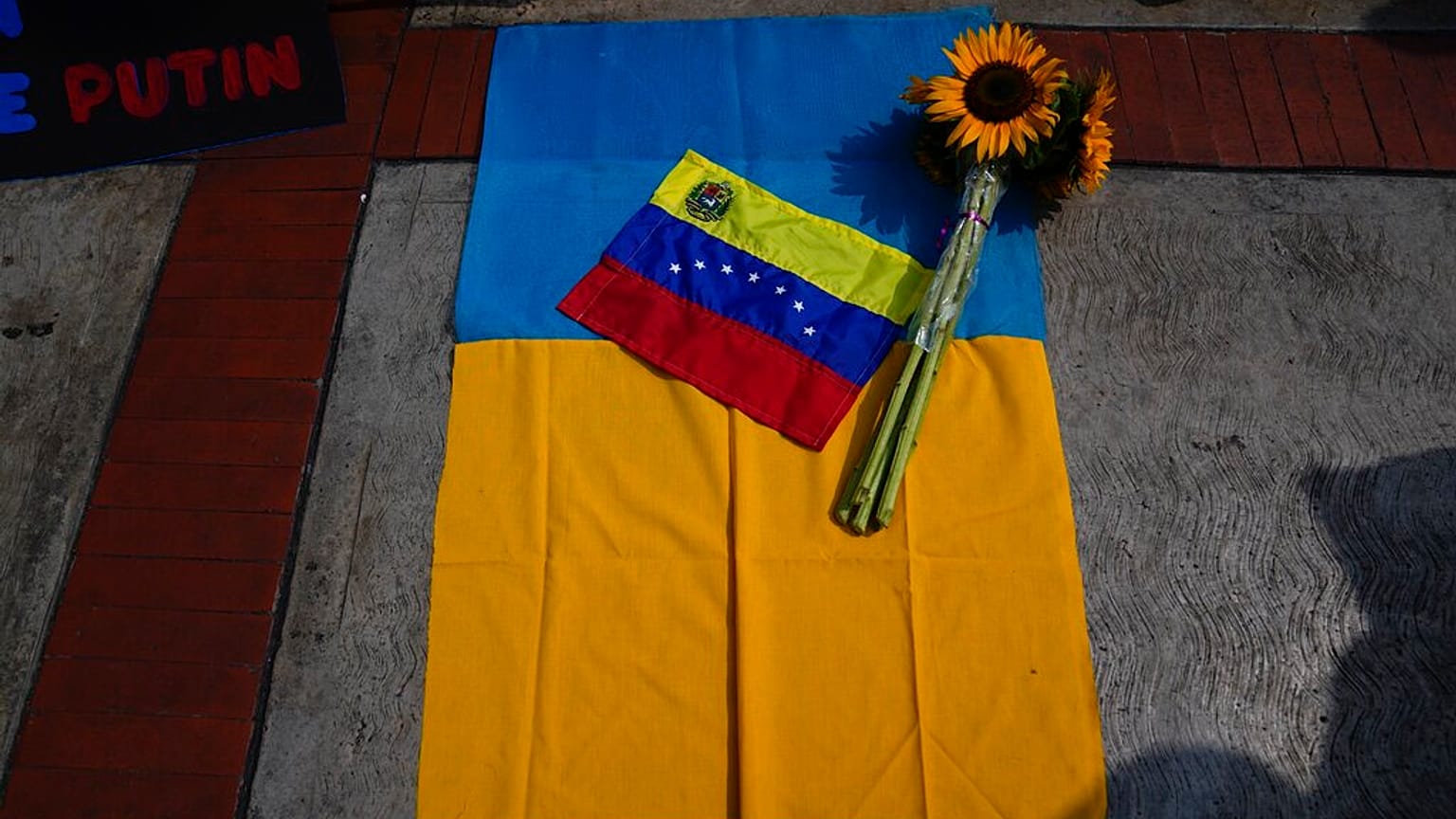 Una bandera nacional venezolana y un girasol sobre una bandera nacional ucraniana durante una protesta contra la invasión rusa de Ucrania, 3/3/2022, Caracas, Venezuela