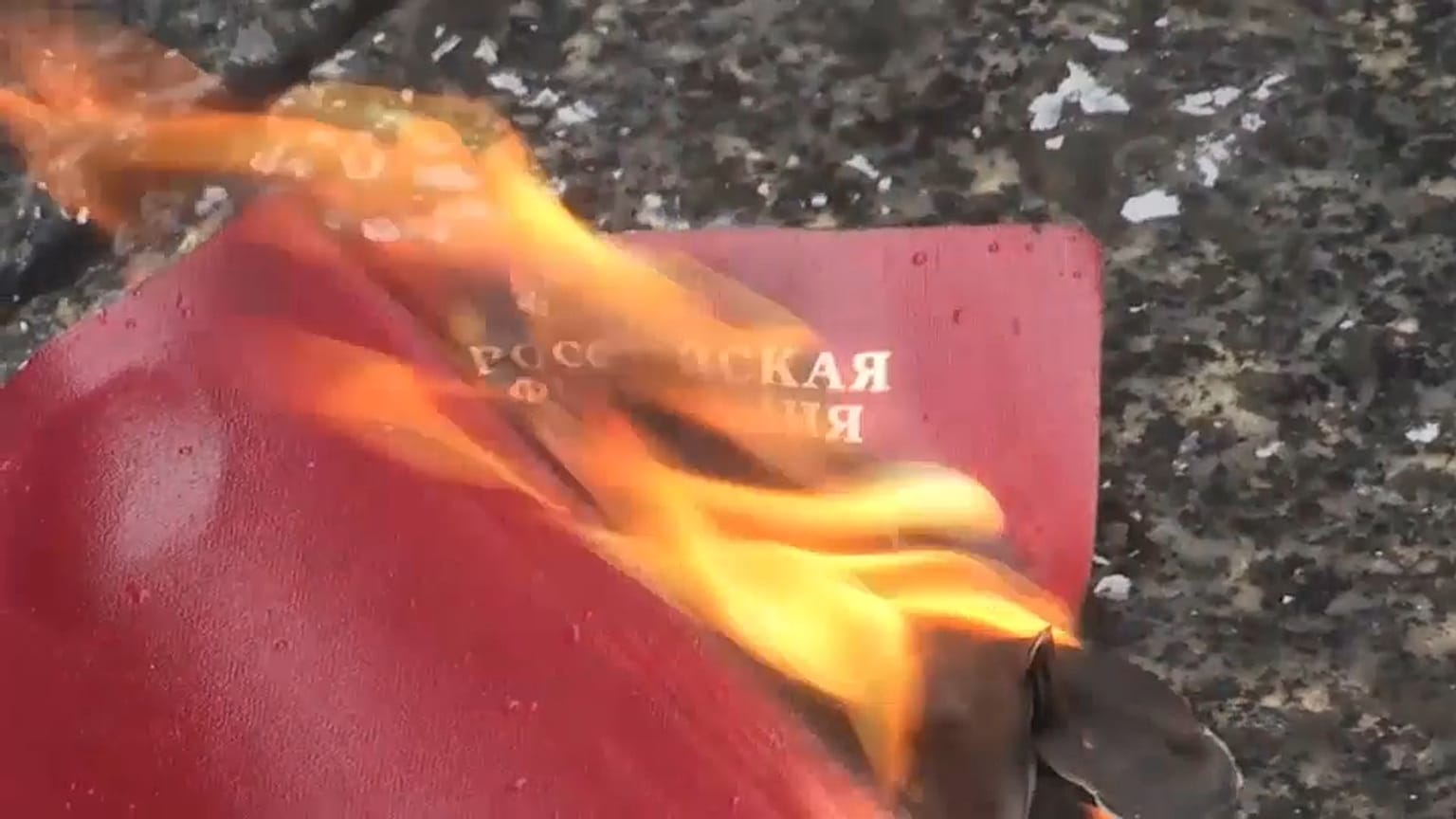 متظاهر روسي في بلغراد يحرق جواز سفره الروسي احتجاجا على غزو أوكرانيا.