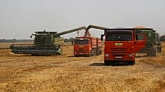 Rusya'da buğday hasadı (arşiv)
