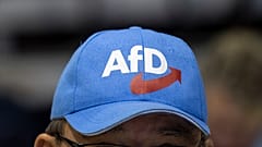 AfD-Kappe (Aufnahme vom 13. Januar 2019)