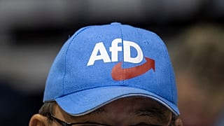 AfD-Kappe (Aufnahme vom 13. Januar 2019)