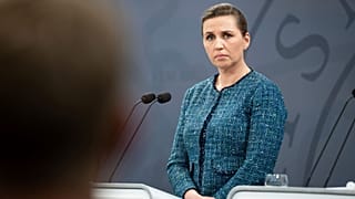 Denmark's Prime Minister Mette Frederiksen had written a letter of apology to the children in 2020