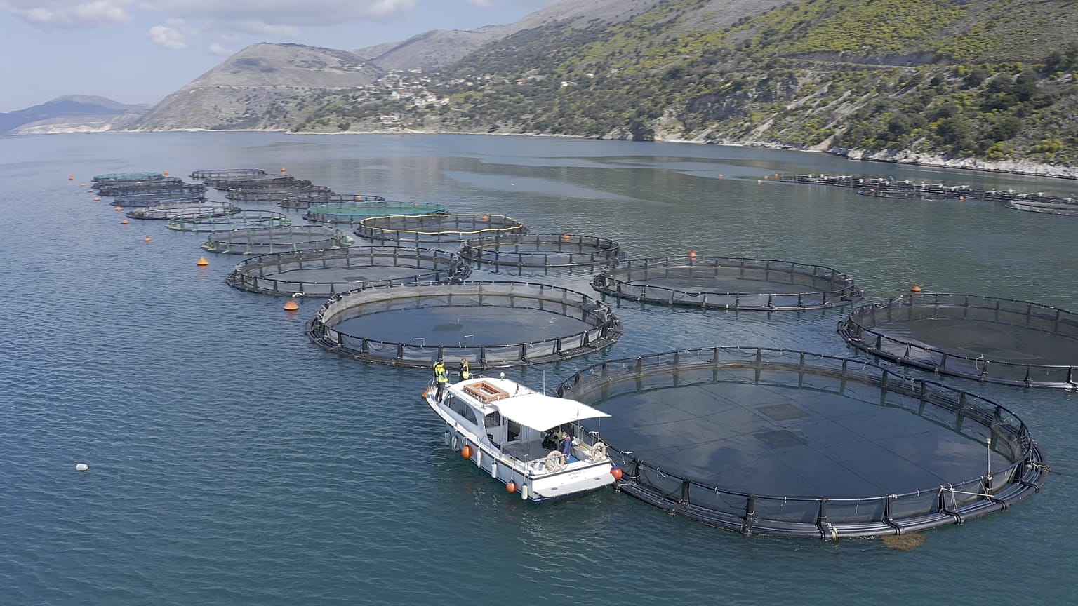 Setor das pescas precisa de "diversidade e transformação" na Europa
