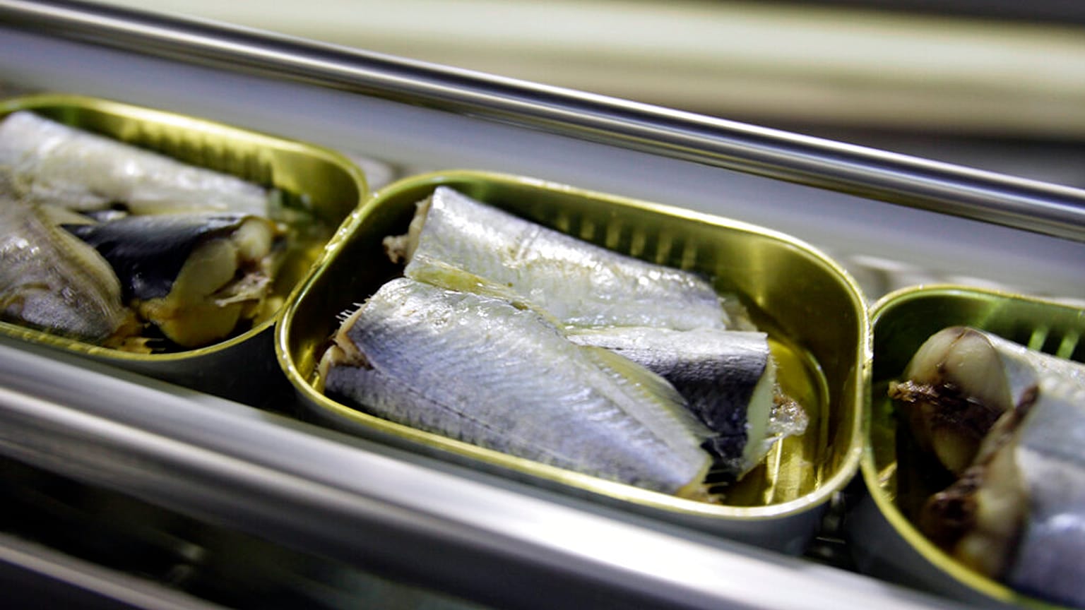 Latas de sardinas