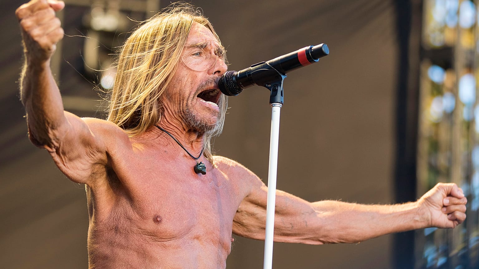 Iggy Pop, Placebo, and Biffy Clyro are among those pulling out of Russian festival Park Live