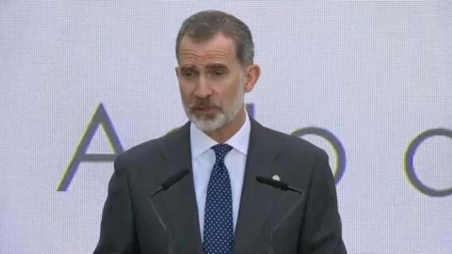 EBU- El rey español Felipe VI en un momento de su discurso
