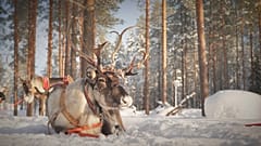 Reisen in die europäische Arktis: Nachhaltiger Tourismus ist das Ziel
