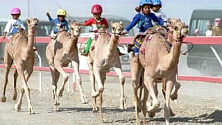 رياضة سباق الهجن