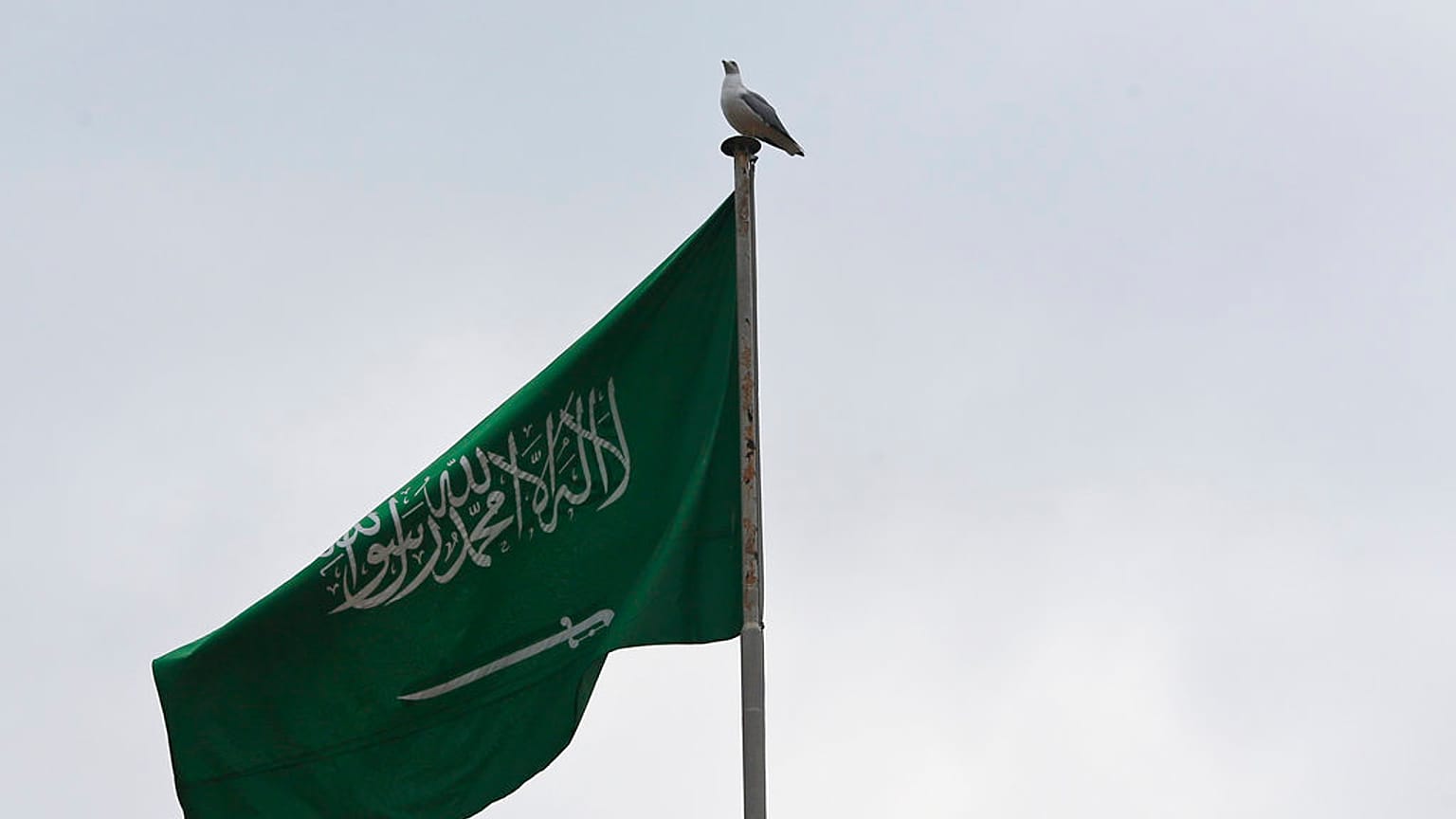 علم المملكة العربية السعودية