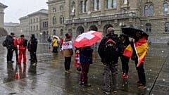 People protest  against COVID-19 restrictions in Bern in November.