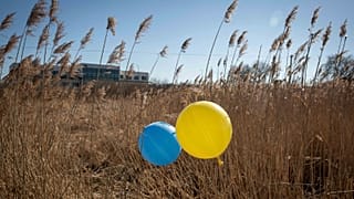 Balloons in colours of Ukrainian flag are placed in a field at the border crossing in Medyka, southeastern Poland, on March 11, 2022. 
