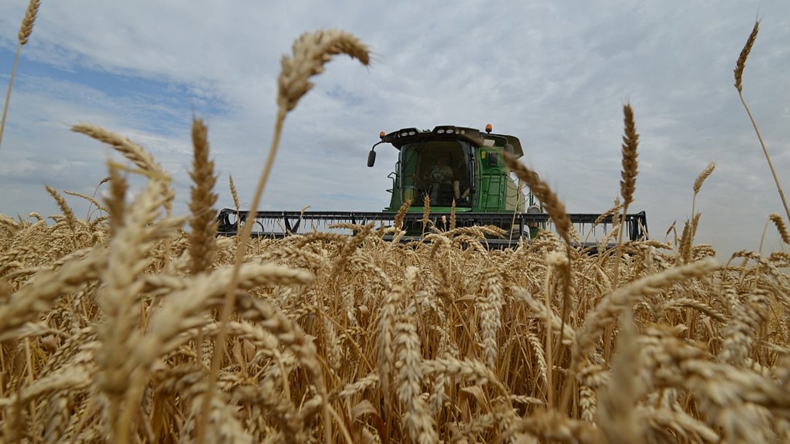 La Georgia schiacciata tra le tensioni con Mosca e la dipendenza dal grano russo