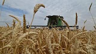 La Georgia schiacciata tra le tensioni con Mosca e la dipendenza dal grano russo