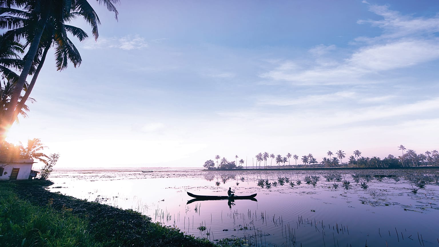 Kerala's backwaters