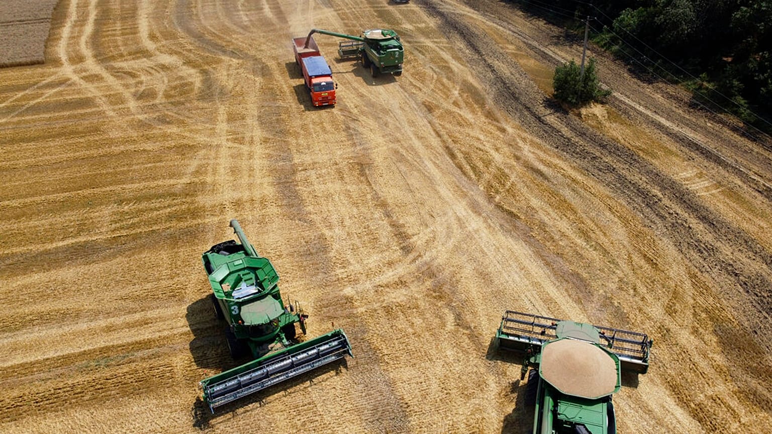 dalle colture Ucraine sono dipendenti molti dei paesi più poveri del mondo