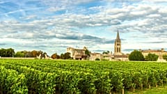 The Eurotunnel is the quickest way to get from England to France's vineyards.
