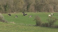 Französische Landwirte leiden unter den Folgen der Sanktionen