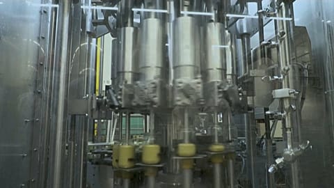 A factory producing Dijon mustard in France. 