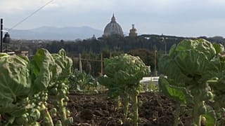 Orti urbani a Roma