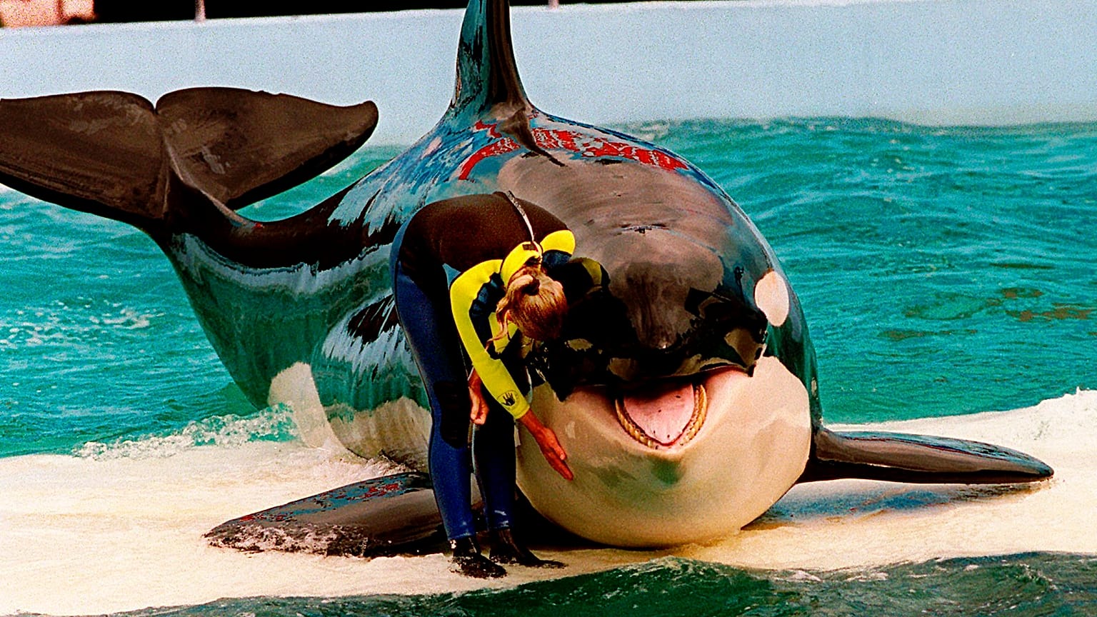 Trainer Marcia Hinton pets Lolita, a captive orca whale, during a performance at the Miami Seaquarium in Miami, March 9, 1995