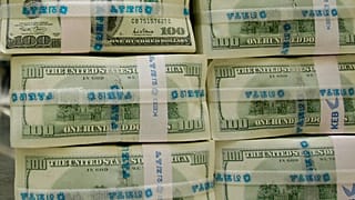 Amerikan doları (arşiv)