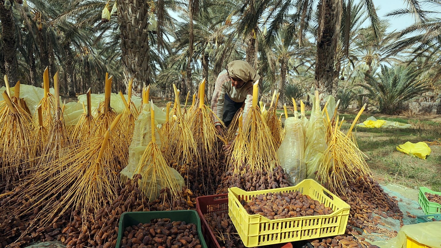 أرشيف