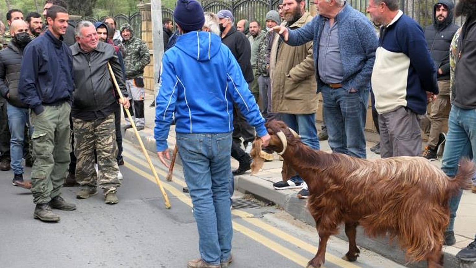 Συγκέντρωση κτηνοτρόφων έξω από το προεδρικό μέαρο στην Κύπρο