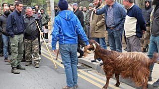 Συγκέντρωση κτηνοτρόφων έξω από το προεδρικό μέαρο στην Κύπρο