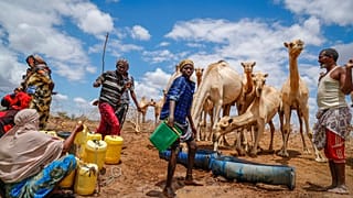 La fame nel mondo causata da guerra, clima e crisi economica