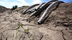 Strenger Blick auf die Landwirtschaft am Welt-Wassertag: Kakao säuft noch mehr als Rindvieh
