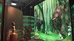 Die Demokratische Republik Kongo: Land der Möglichkeiten