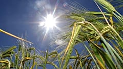 "Unser täglich Brot gib' uns heute" - Wie die EU-Kommission der Landwirtschaft helfen will
