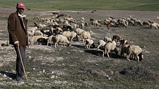  قرية الزيليجة، على بعد حوالي 100 كيلومتر شرق الرباط-12 مارس 2022 