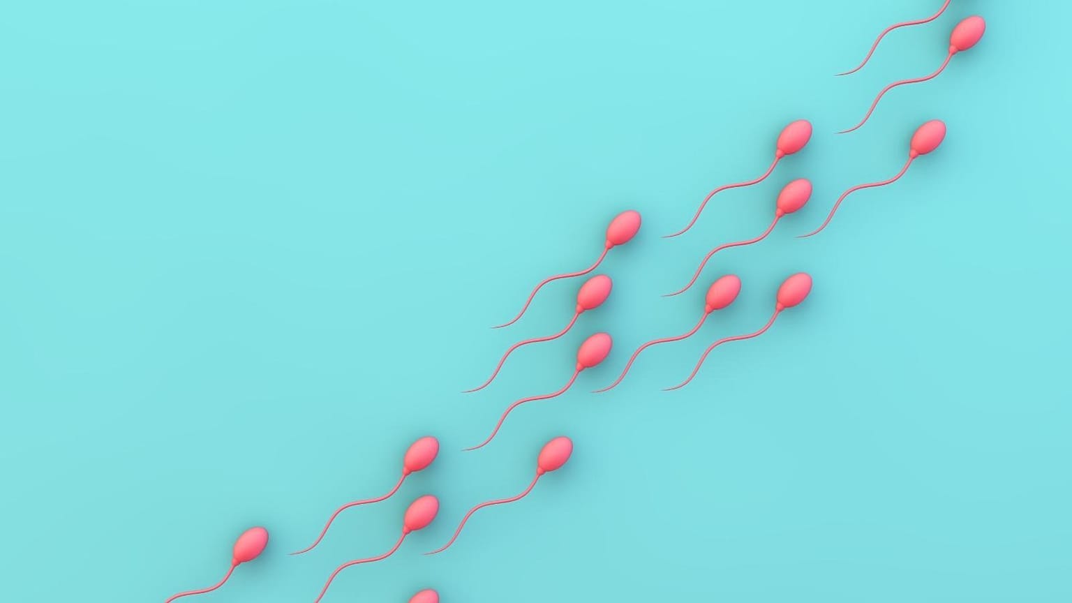A daily pill shows it can temporarily make mice sterile, and researchers hope to start human trials later this year..