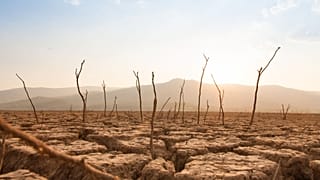 Climate change is the biggest catastrophe we face, so why are we not reporting on it?