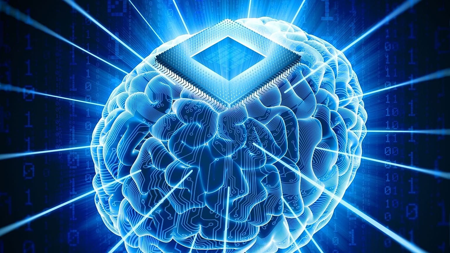 عکس تزئینی است