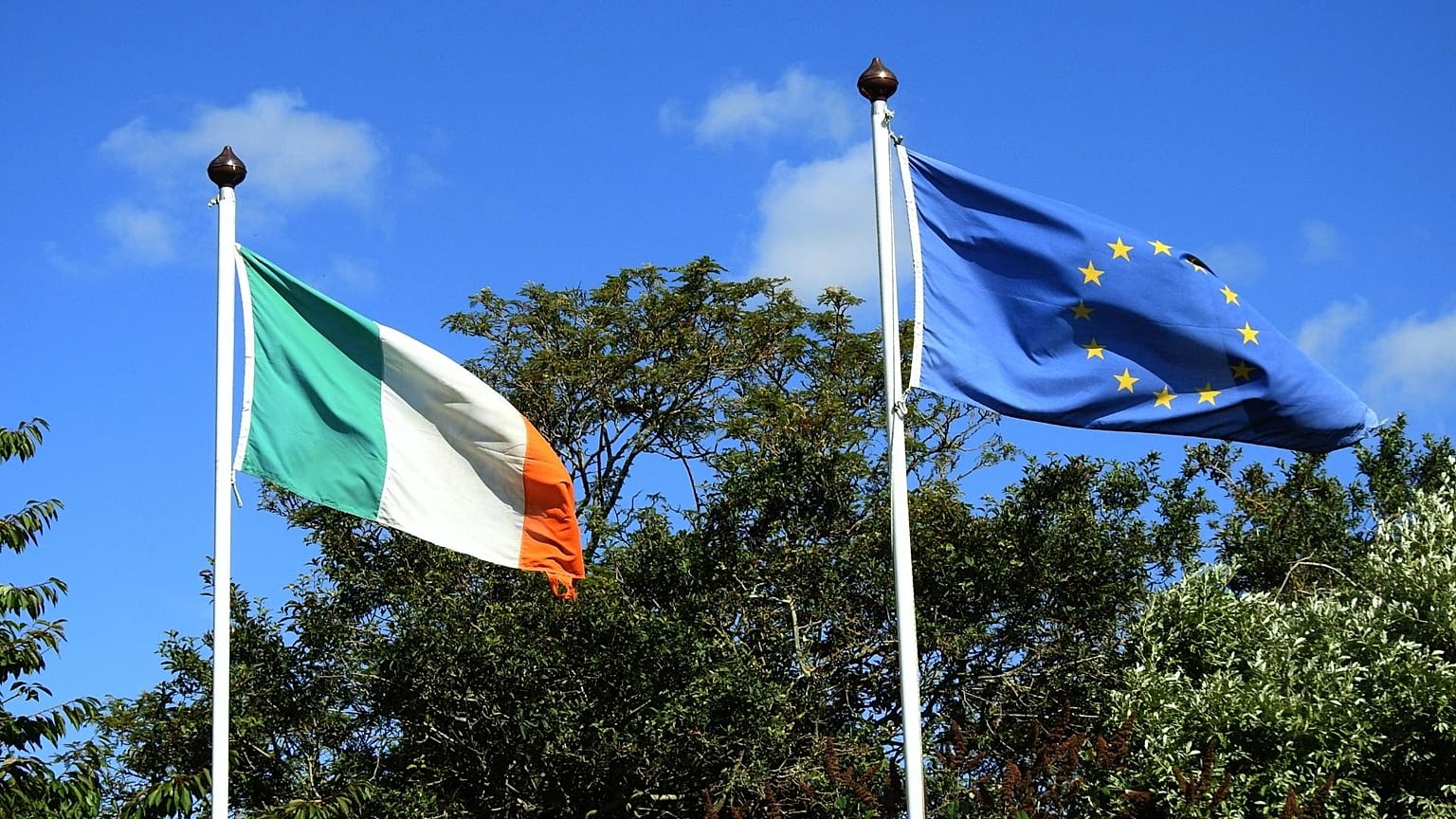 EU and Irish flags 