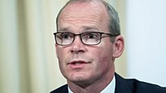 Ireland's Foreign Minister Simon Coveney, pictured during a press conference in July 2019.