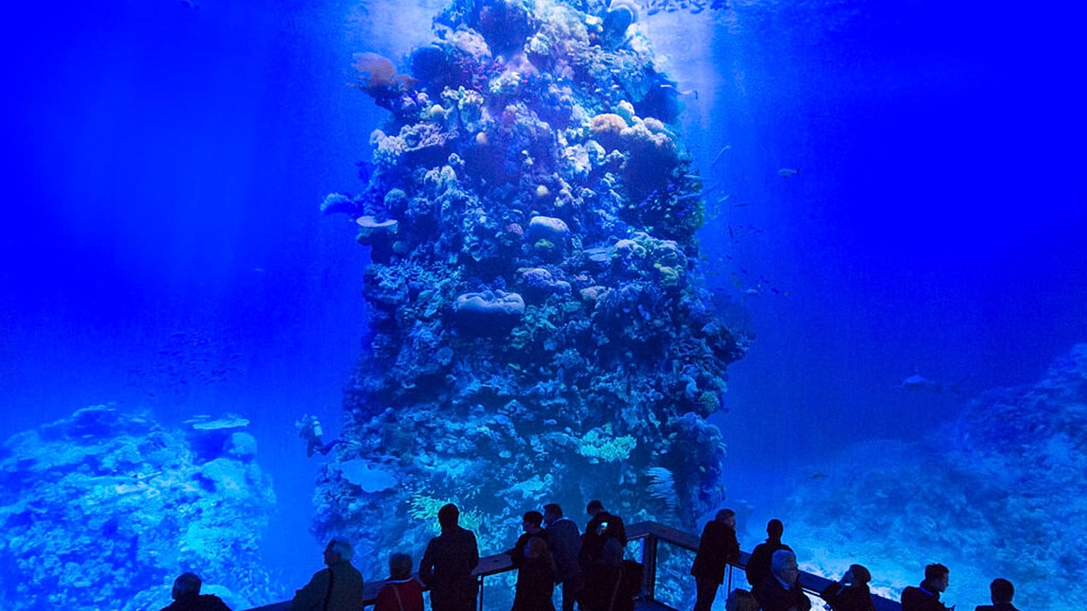 "Great Barrier Reef" di Yadegar Asisi all'Asisi Panometer di Lipsia (2015)