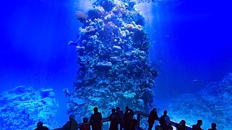 Des visiteurs devant l'œuvre d'art panoramique monumentale "Great Barrier Reef",  Leipzig, 2 octobre 2015. 