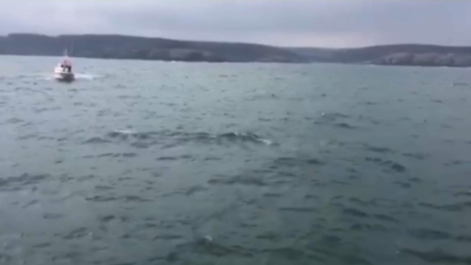 جسم يطفو فوق الماء في مضيق البوسفور بشمال إسطنبول.
