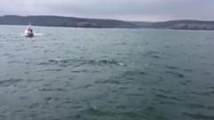 جسم يطفو فوق الماء في مضيق البوسفور بشمال إسطنبول.