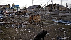 Geheimdienstberichte aus Kiew: Russland will die Ukraine teilen
