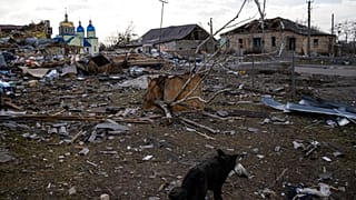 Tétovázással vádolja a Nyugatot az ukrán elnök 