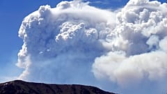AP