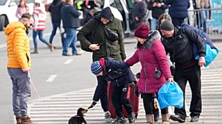 A child fleeing from Ukraine with his family plays with a dog after crossing the border in Vysne Nemecke, Slovakia, Friday, March 4, 2022.
