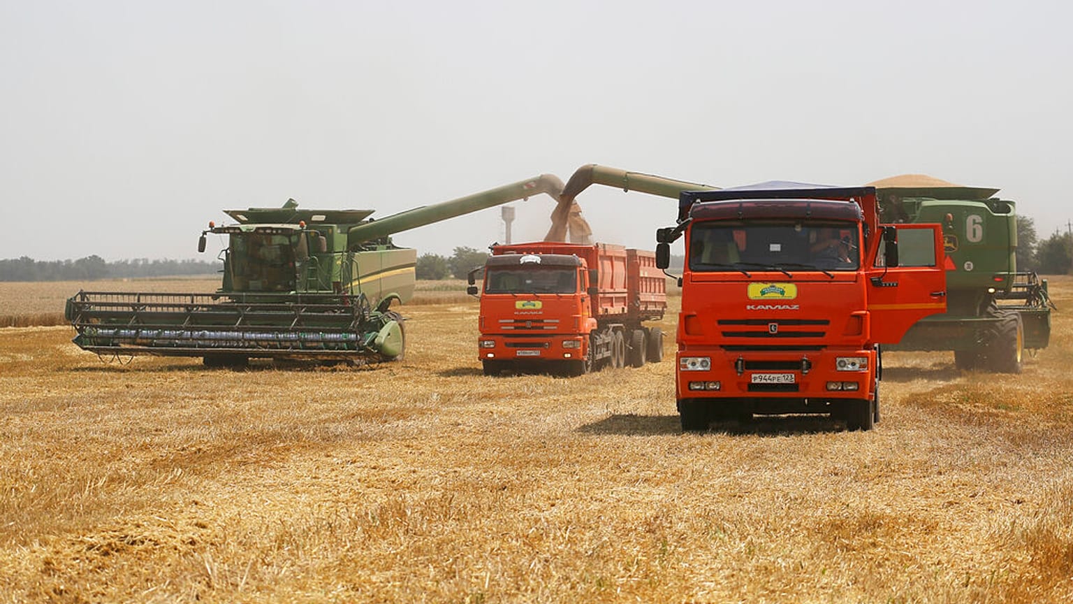 Imagen de archivo. Cosecha en un campo de trigo cerca del pueblo Tbilisskaya, Rusia, 21 de julio de 2021