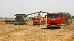 Frühling im Krieg: Was passiert mit der Ernte in der Ukraine?
